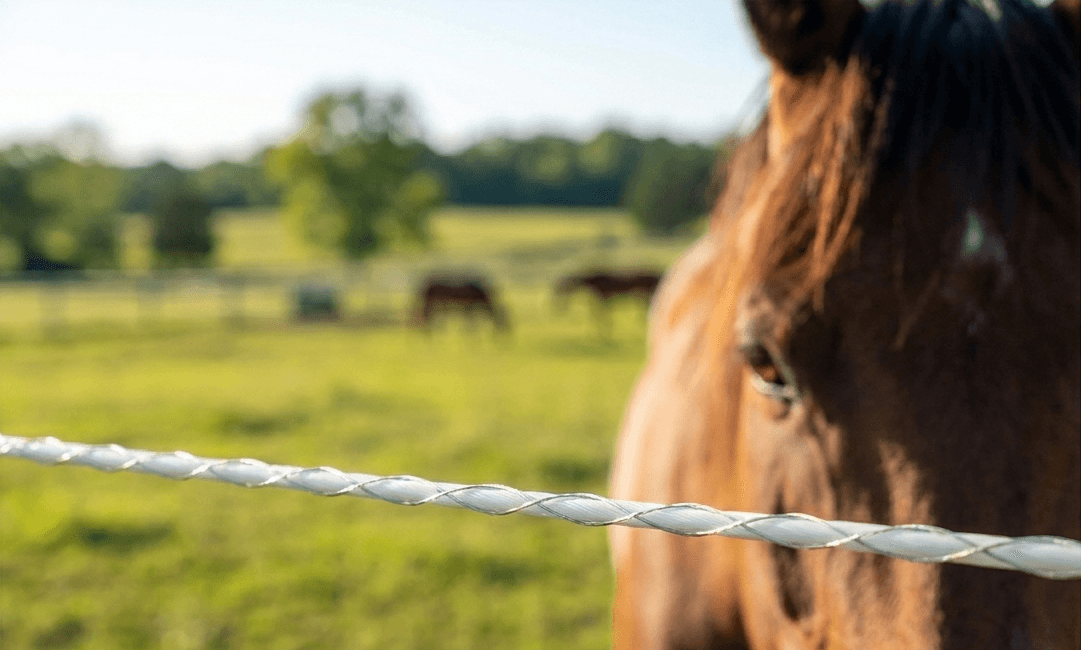 Edelstahldraht auf dem Bayco-Seil